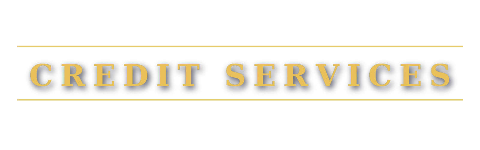 Credit Services